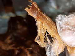 -郴州特产舜华临武鸭(郴州西站店)