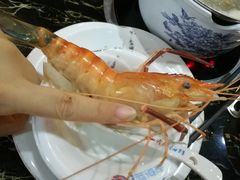 草虾-渔傅·蓝海岸霞浦海鲜(正祥店)