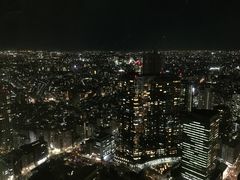 -东京都厅舍