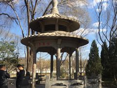 -玲珑塔公园