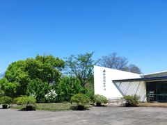 -上海滨江森林公园