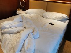 -上海雅居乐万豪侯爵酒店