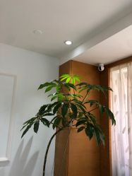 -HEYAN荷妍专业脱毛连锁机构