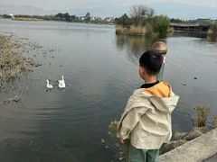 -大理洱源西湖景区