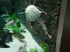 -洛阳龙门海洋馆