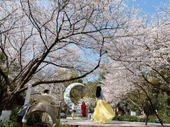 -杭州少年儿童公园