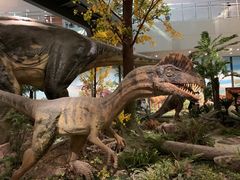 -湖南省地质博物馆