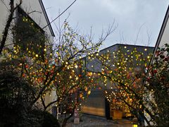 -雅达·阳羡溪山小镇中心