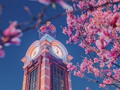 -陆家嘴中心绿地