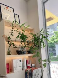 -菲·木田moontin造型salon
