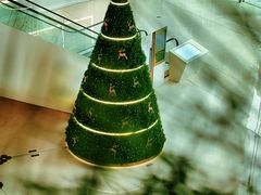 -深圳湾万象城(南山店)