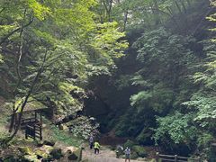 -五女峰国家森林公园