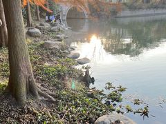 -长广溪湿地公园