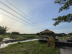 -梁鸿国家湿地公园