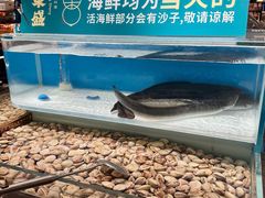 -東盛炭烤自助料理(玄武招商花园城店)