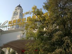-随州碧桂园凤悦凤凰酒店