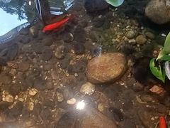 -邈墨茶馆(大兜路1号店)