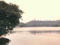 iphone_upload_pic-悦湖公馆