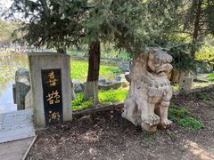 -高尔山公园