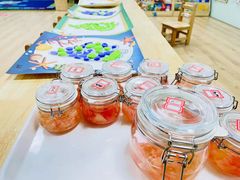 -蓝莓果幼儿园(通州梨园店)