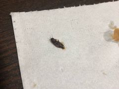 -大嘴巴小吃店(琴台街店)