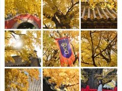 -浮来山风景区
