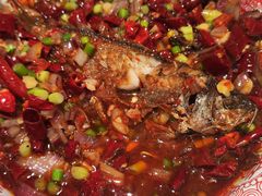 -欧记大排档·景德菜(上海首店)