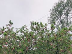 -白水寺森林公园