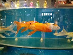 -凯德广场(学府店)