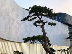 -罗红摄影艺术馆