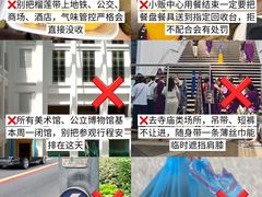 -圣淘沙天际线斜坡滑车