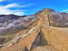 -蟠龙山长城景区