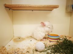 -龙猫仔乐园(惠福东路店)