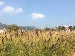 -玫瑰海岸文化旅游度假区