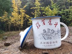 -五泄景区