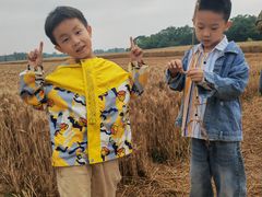 -汉长安城未央宫国家考古遗址公园