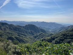 -大岭沟猕猴桃谷风景区