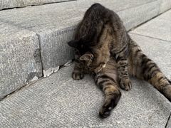 -狼山风景名胜区