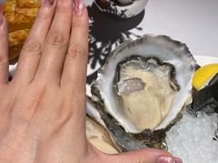 -Oyster Talks 四度蚝法餐厅