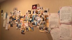 -海豚湾高端月子会所(黄浦店)