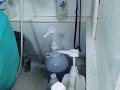 -佳雯宠物医院(金华南路分院)