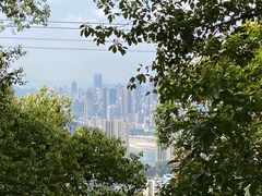 -南山植物园