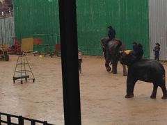 -东芭乐园