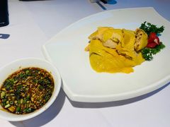 白斩鸡-老洋房花园饭店(绍兴路店)