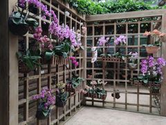 -南山植物园