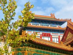 -中国紫檀博物馆