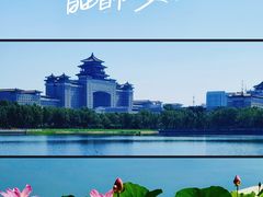 -莲花池公园