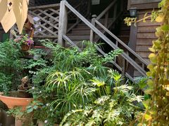 -清迈女子监狱马杀鸡(无分店)