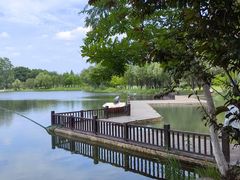 -洋湖国家湿地公园