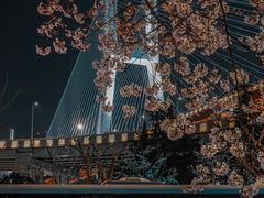 -南浦大桥长途旅游客运站